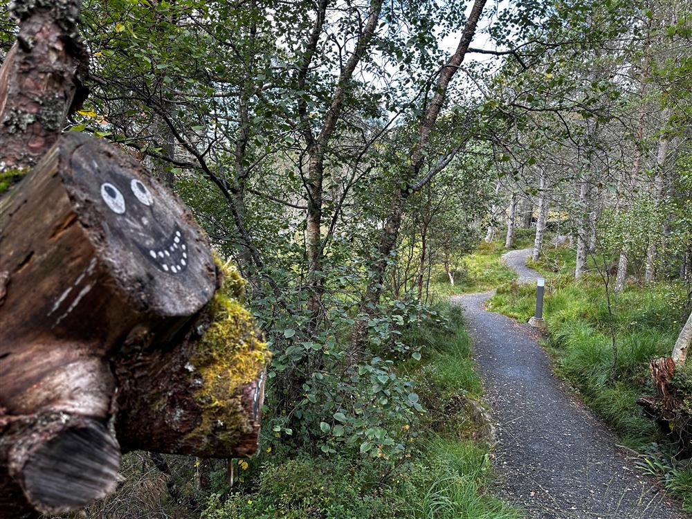 Vardevegen trol - Klikk for stort bilete