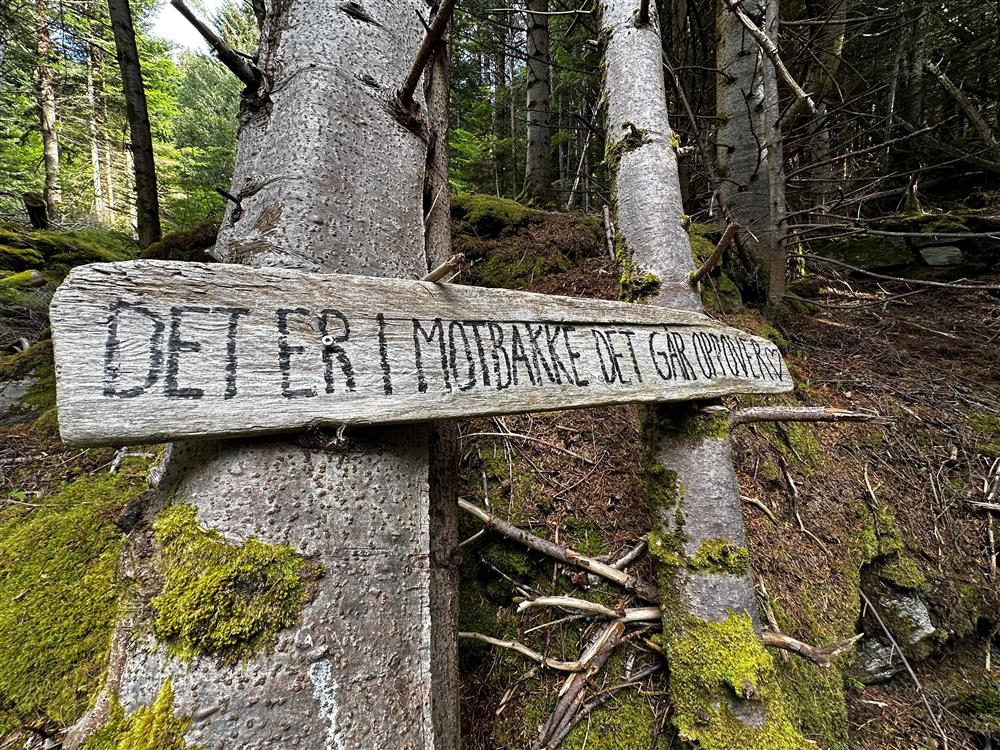Skilt " Det er i motbakke det går oppover - Klikk for stort bilete