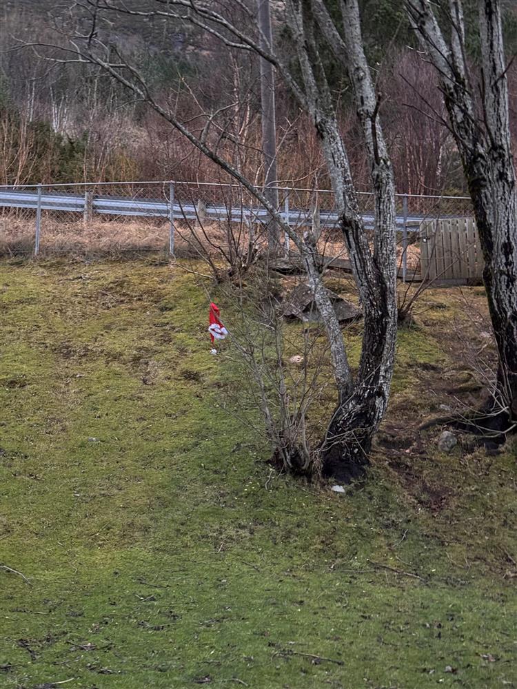 Hua til nissen - Klikk for stort bilete