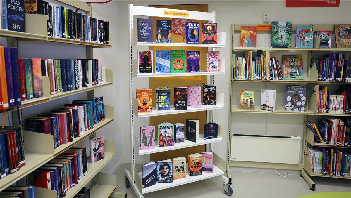 Bøker bibliotek - Klikk for stort bilete