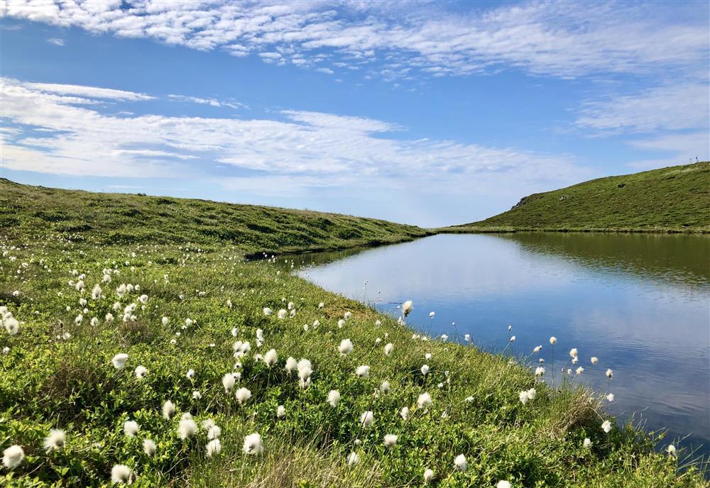 Vår ved Klovevatnet - Klikk for stort bilete